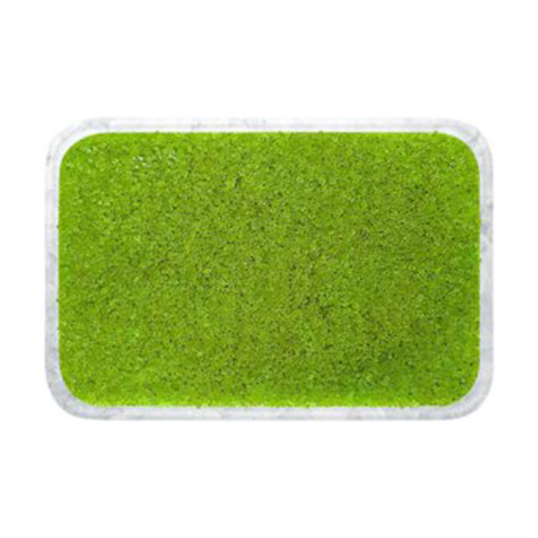 Tobiko Green 500 Gm